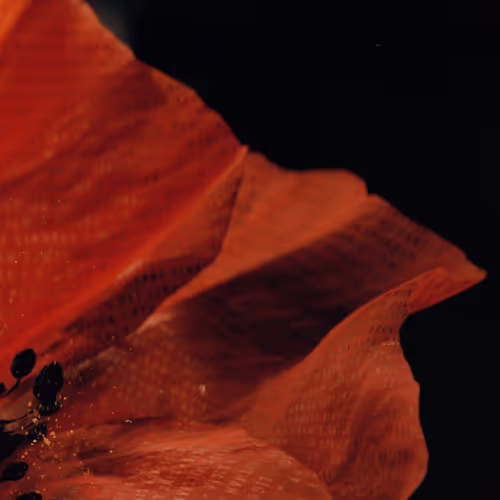 Item #54146082010400626142033190626811009624551032097677302424069293431080966160394 Media