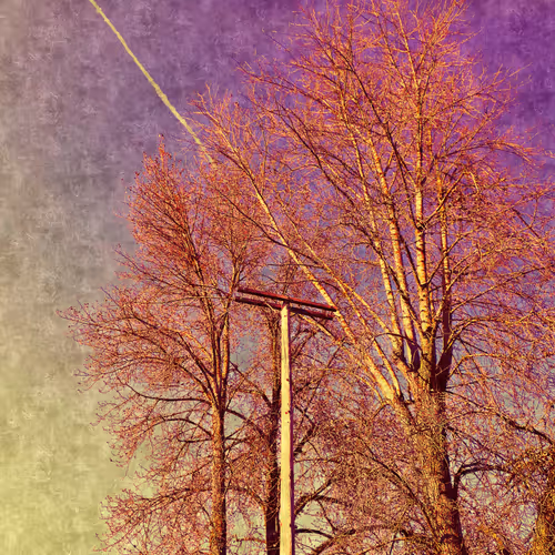 Item #59781095411534189508754005872723373463038721670588469688932600026387267452929 Media