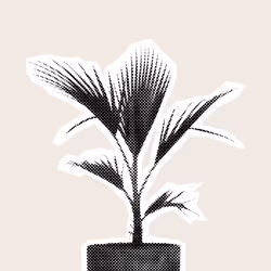 25379124807980713745219244606437574046087384809022650852355167130212609556481