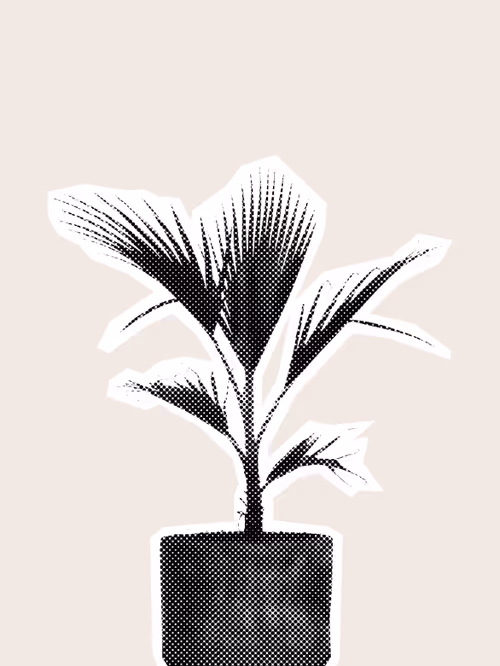 Item #25379124807980713745219244606437574046087384809022650852355167130212609556481 Media