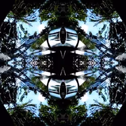 81335810380546067592074661371981709571494442828138360360358581749645381206017