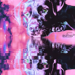 DigiDawg FourTwenty