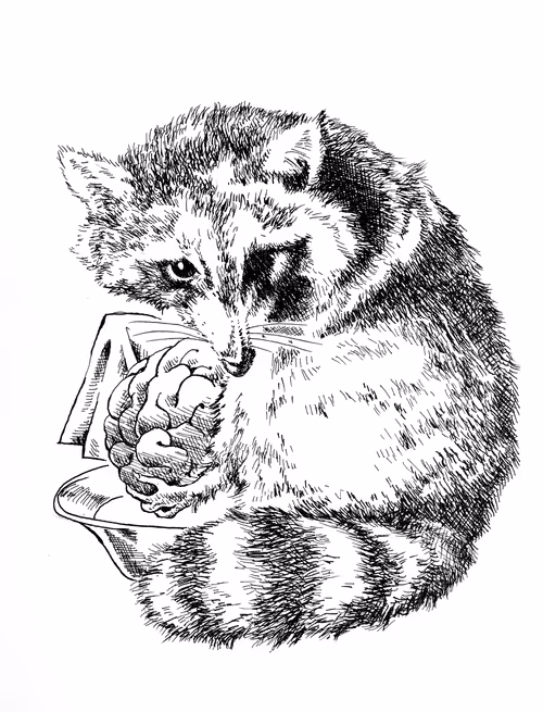 Item #103637917974594154002892776179119522552319453954030634944654859404869931892737 Media