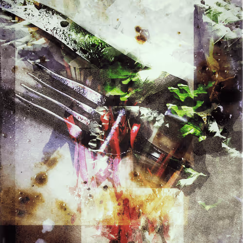 Untitled Collection #276537370