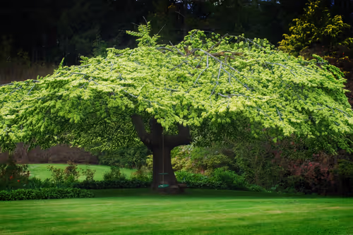 Item #25368776040682519390983776677225528740167958372111640572942765211802610434049 Media