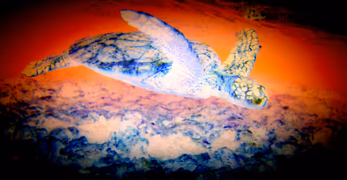 Item #103053869502061589766619055329076968978889786929838480007770308325007155003393 Media