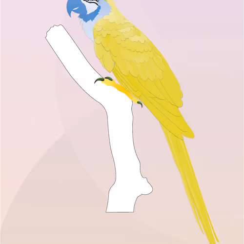 Vector Birds