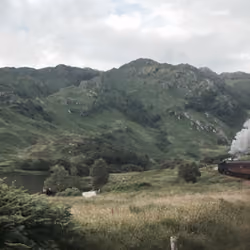 "NO MUGGLES ON THIS TRAIN"