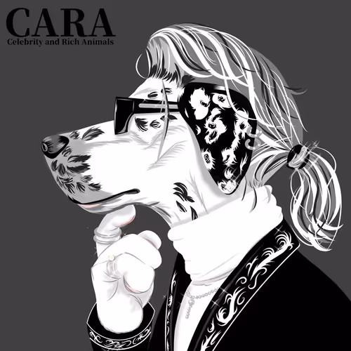 Item #83207205650873979440496642530521122827806009963956393052046055094188697976833 Media