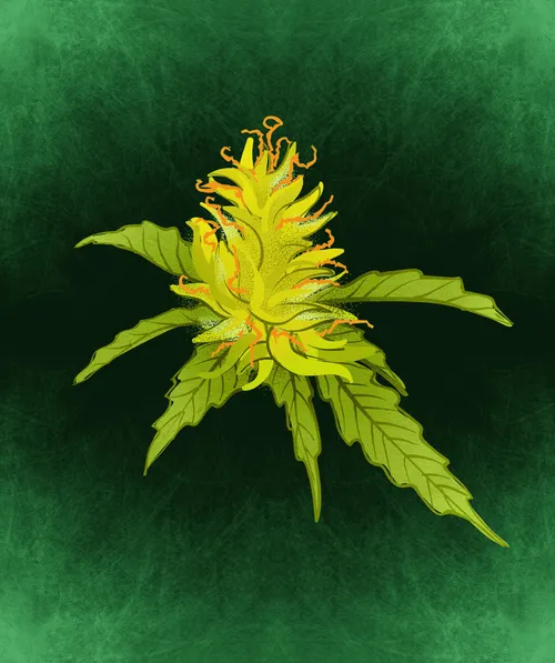 Item #88173920956366532206384104525204378846175092179682069740847406039750422822913 Media