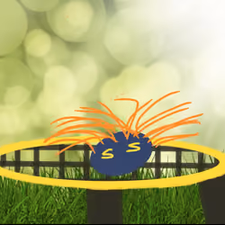 Spikeball Head