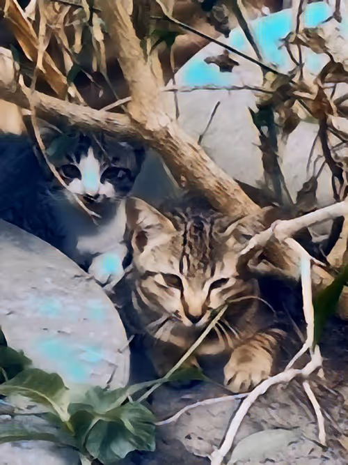 Item #81269833061274051173789884418282317830923519221172308843662164469176445435905 Media