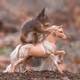 Niki_Colemont Collection - old
