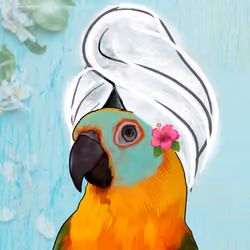 Crypto Conure #018