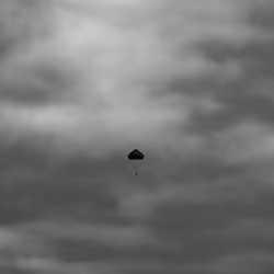 BLACK & WHITE Practising Paratrooper 9/9