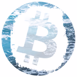 Bitcoin Badass #13