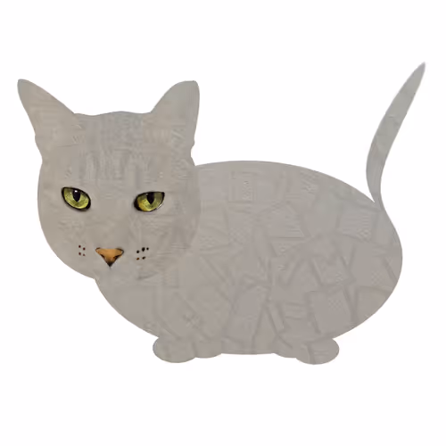 Item #7075100801842414929541159204983769780243264764604993181312715063116685115393 Media