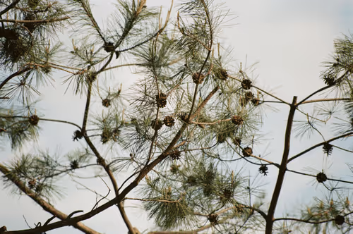 74023677201646755135331308507564903527540019638043320718460698823387481374721