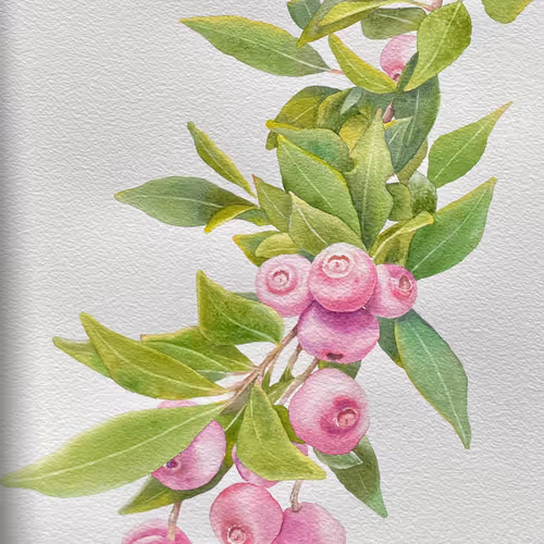 Untitled Collection #61928591