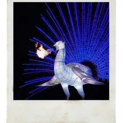 The Majestic Peacock