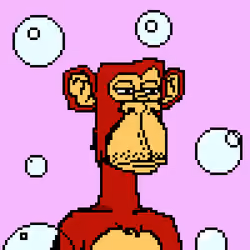 Monkey #5