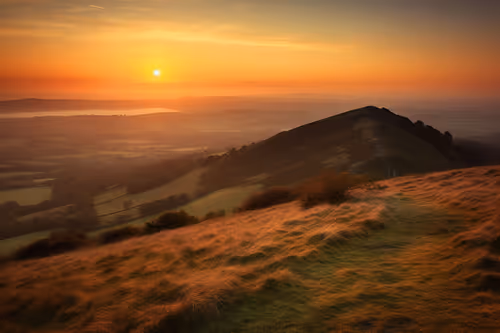 Item #69117804426160959247427436353789979685882041842799831432080768599094120677576 Media