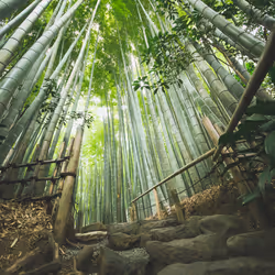 6522300135097220247605155674908152002410346938303119366053397899974304333825