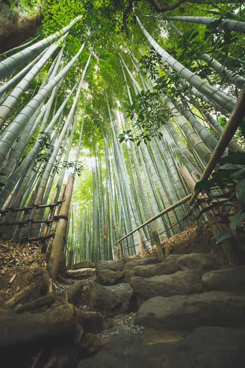 Item #6522300135097220247605155674908152002410346938303119366053397899974304333825 Media