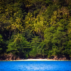 Paradise In Sight