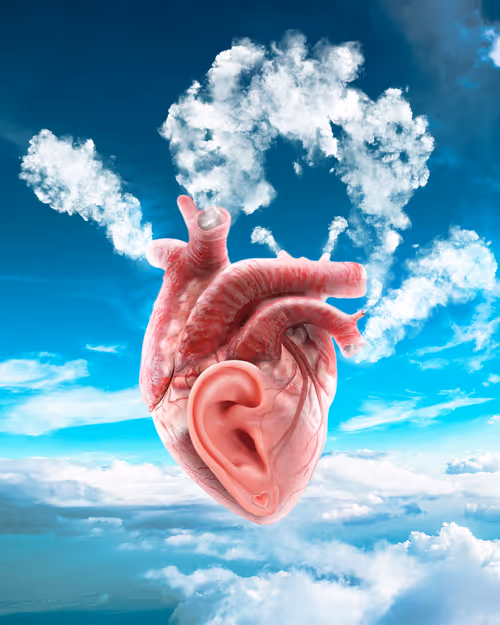 Item #21416361003760002990150949561959734604214414335970130450761434032874350182401 Media