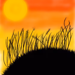 Sunset 2