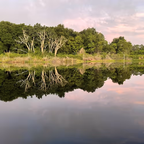 NovemberrFoxtrotTango Collection