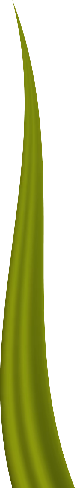 Item #78763235517899702300642317908544281341520076745003203023483945958723844833281 Media