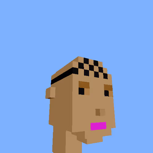 PunkVoxels #0990