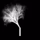114771482431574273466723882287168648072541368547089315074162522881366895362049