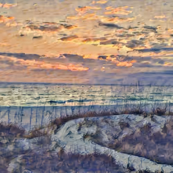 Beach Vibes