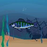 Etherfishing