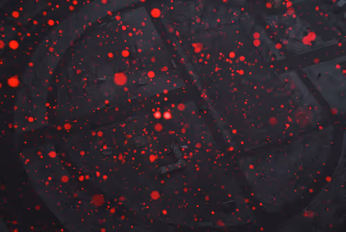 Item #65727344591356369199743943126527535922219131685413578878860768162207053643777 Media