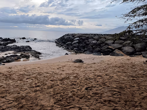 Item #103478439524768864442959373510033945590872230740400056418808036723823443181569 Media