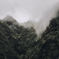 Creeping Fog