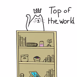 I'm the king - Top of the world