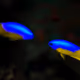 87440174158196706510229258160449814035668443083507653534477882500188133654529