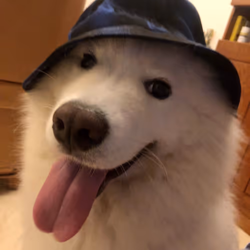 Untitled Collection #91546278