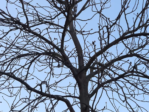 Item #13665938074563914331498291329920780757136253607588816979915017133176576278529 Media