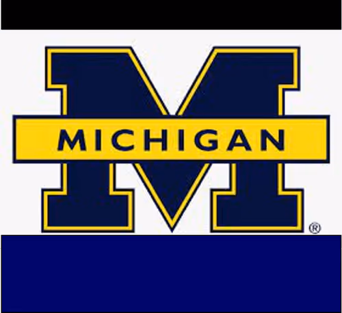 ilovemichigan.eth Ethereum Name Service (ENS and .eth domain) PFP