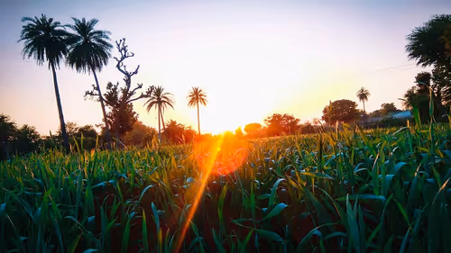 Item #59001070930207356693610520244542519614978813094874003086701142019481976963073 Media