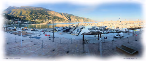 Item #25766228410116791685339336380012731519026805930459738932816938922660333617252 Media