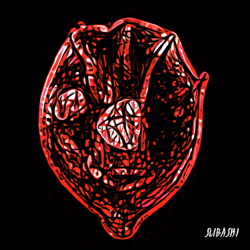 Item #51823728985939034062886243384892974104749538993457925112096062566887489273857 Media