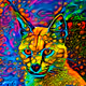 trippingcats(old)