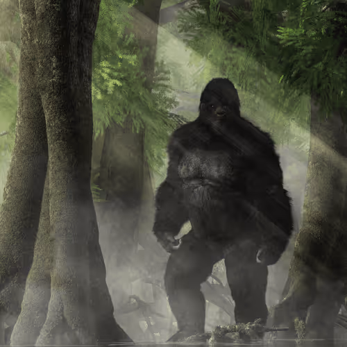 15201862250514145958676777466825728141953005429687029988591517149162146627585